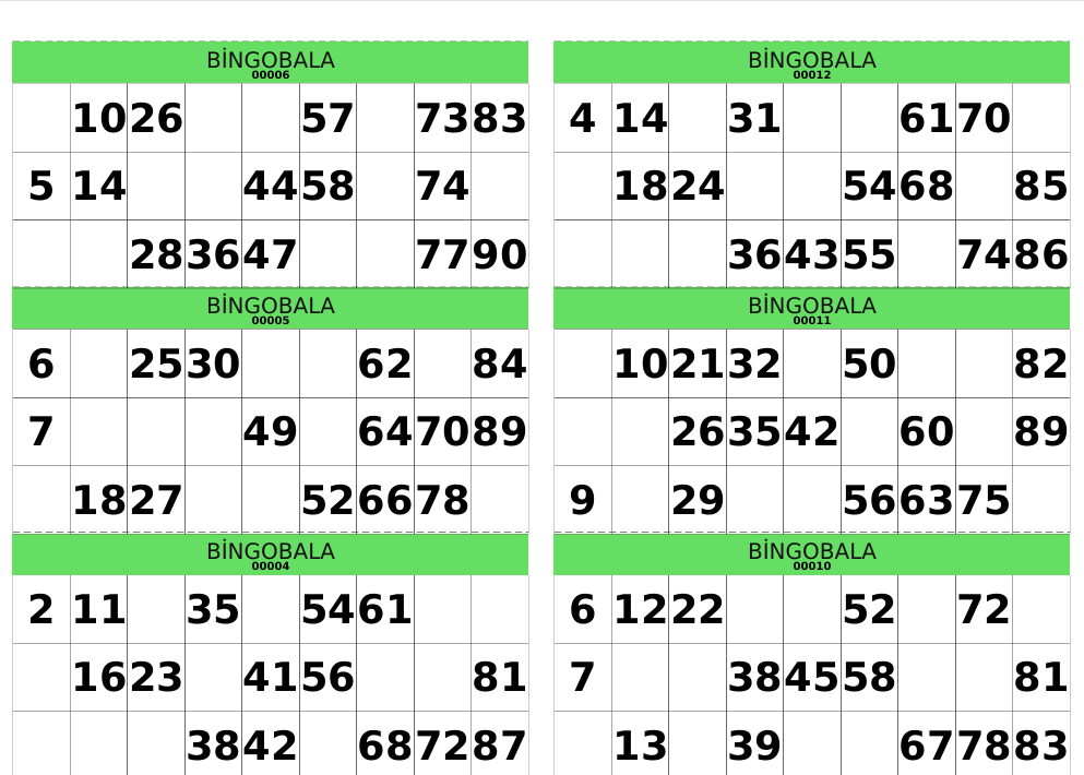 Örnek Bingo Kartı 1