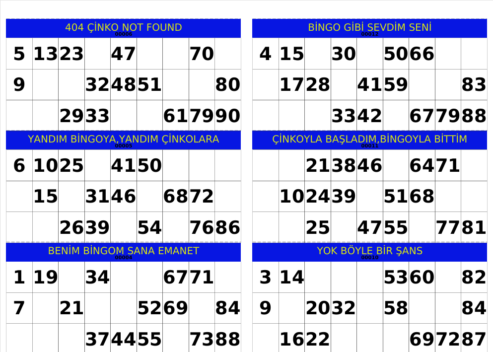 Örnek Etiketli Bingo Kartı 2